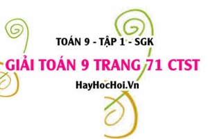 Giải Toán 9 trang 71 tập 1 Chân trời sáng tạo SGK